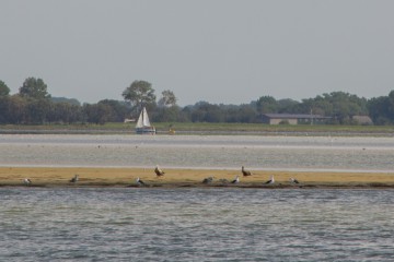 23 08 22 Seeadler Hiddensee