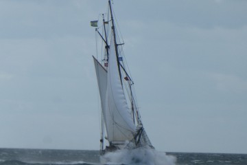 Action bei der Heringsregatta Foto von Ch.G.