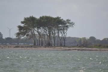 Fast als wäre man in Afrika - der Eingang der Schlei