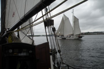 Kieler Woche, die Elegant wurde gesichtet