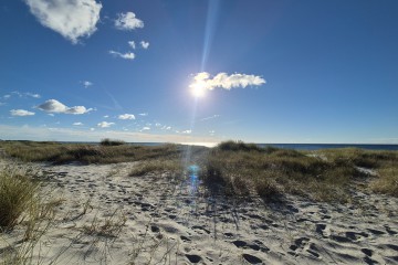 Endlich wieder Hiddensee
