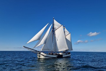 Schleichfahrt mit Topsegeln vor Hiddensee